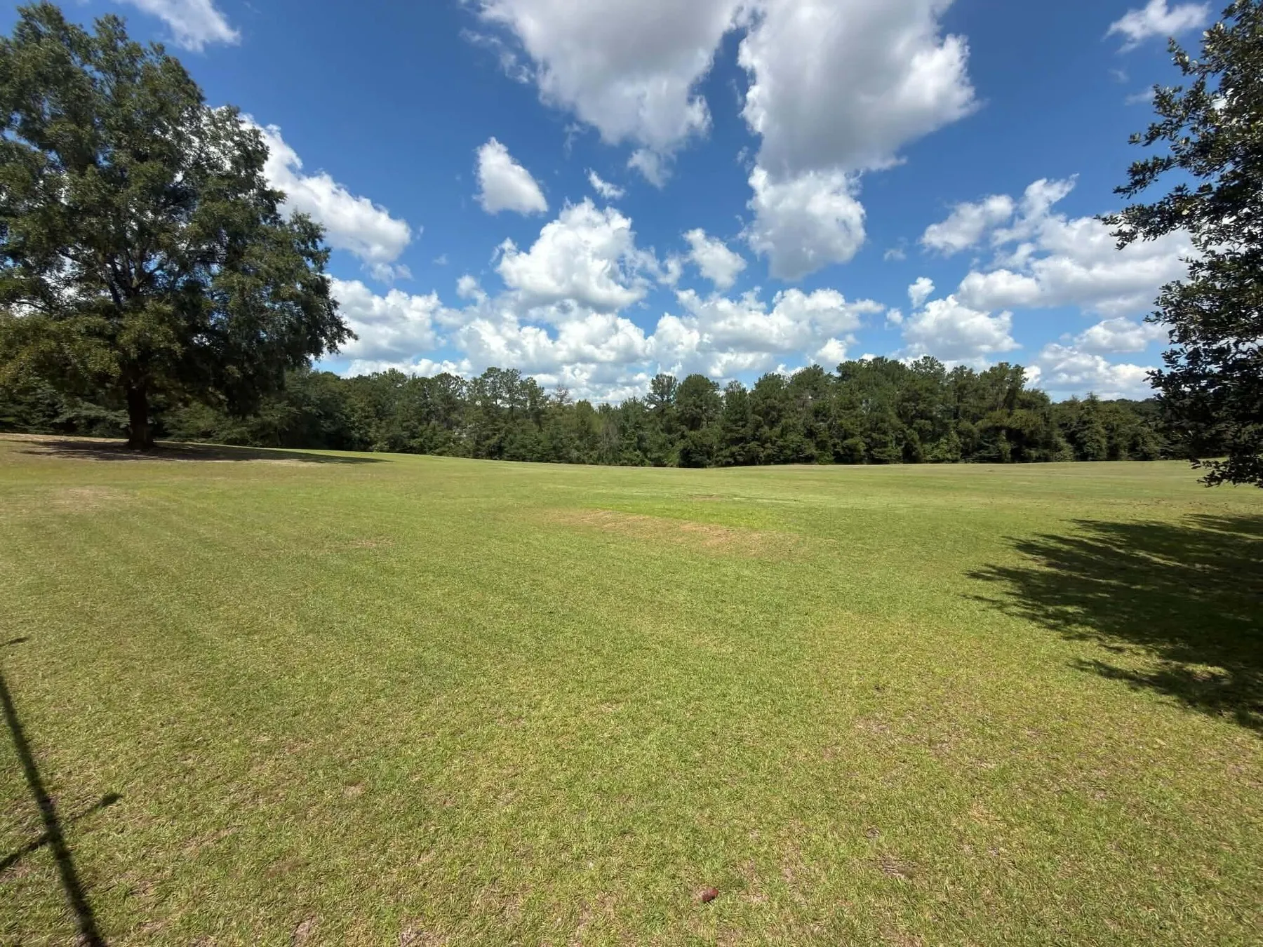Open acreage mowed under a big Georgia sky