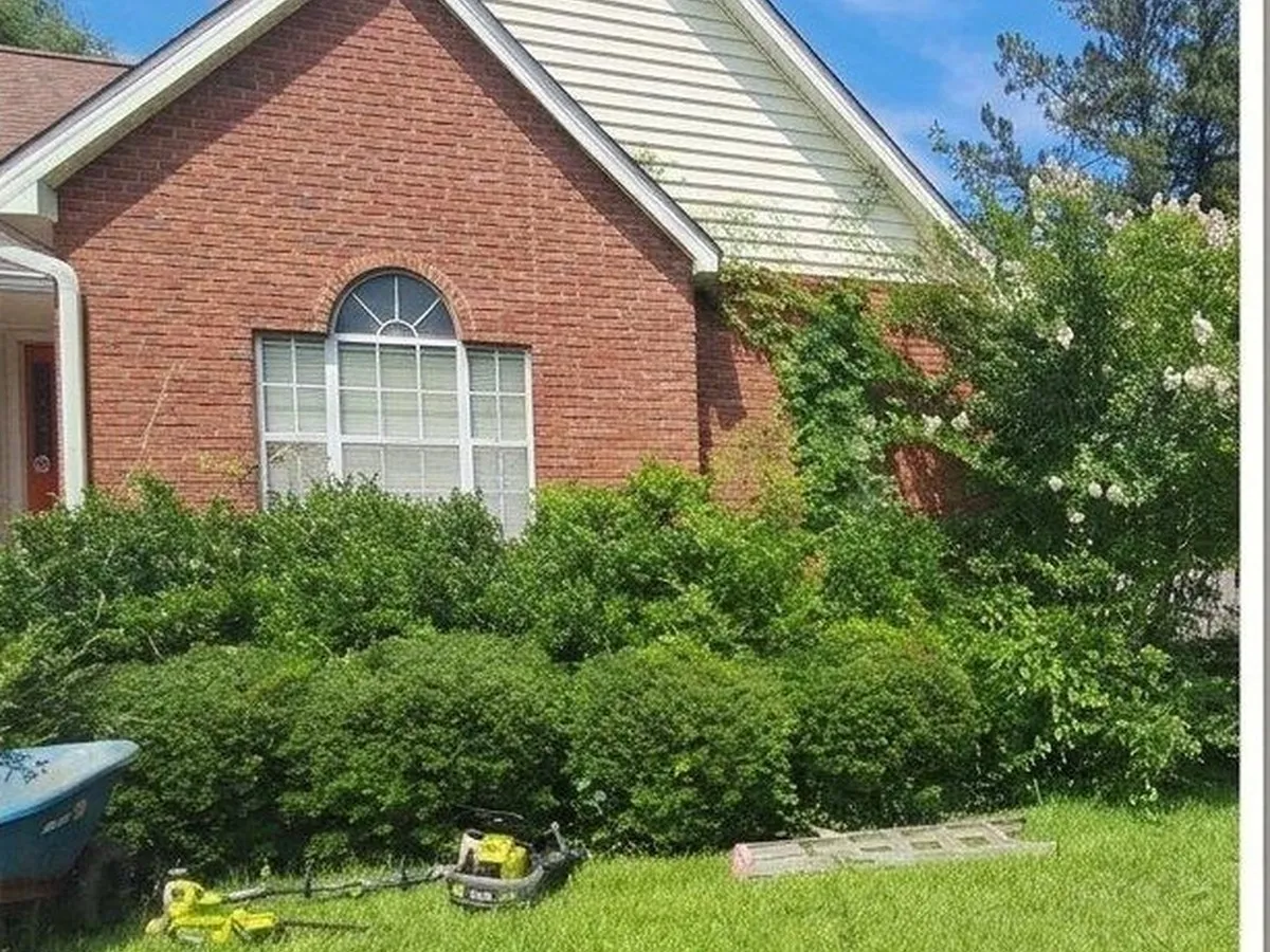 Brick ranch front bed, overgrown shrubs cut back and shaped, before