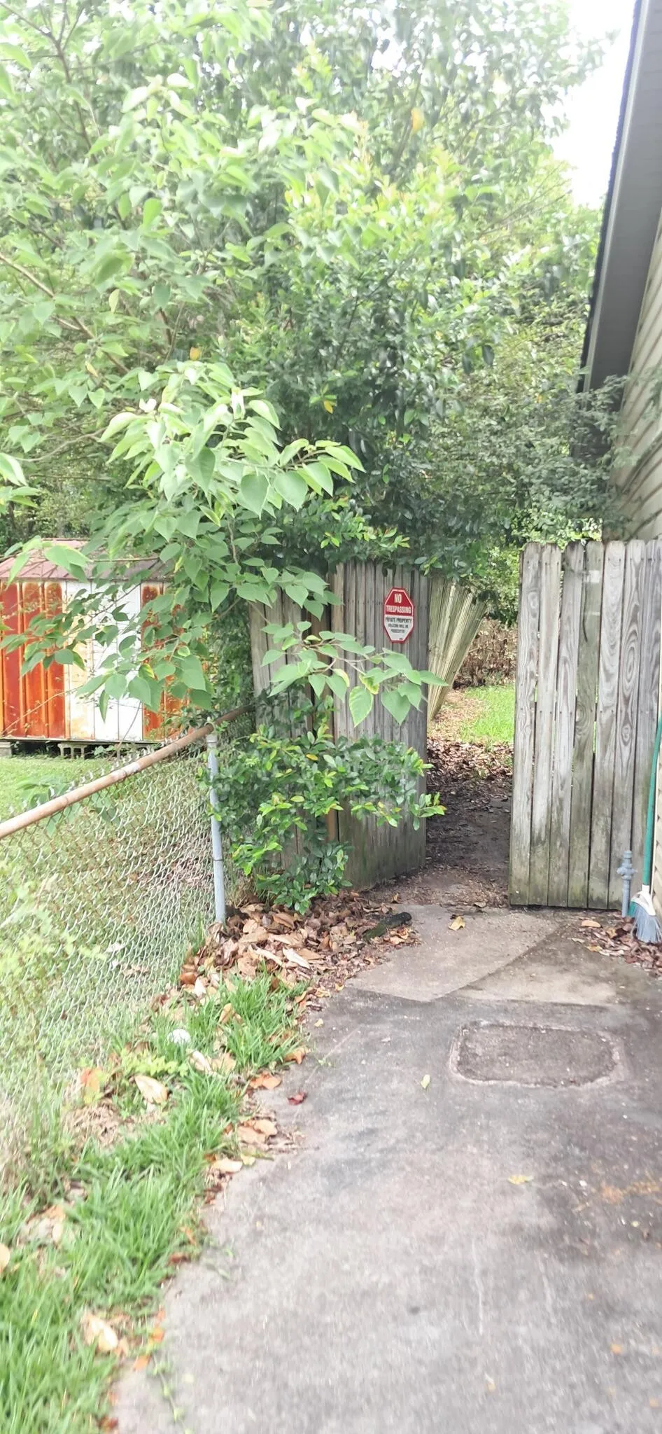 Overgrown side yard cleared back to the fence line