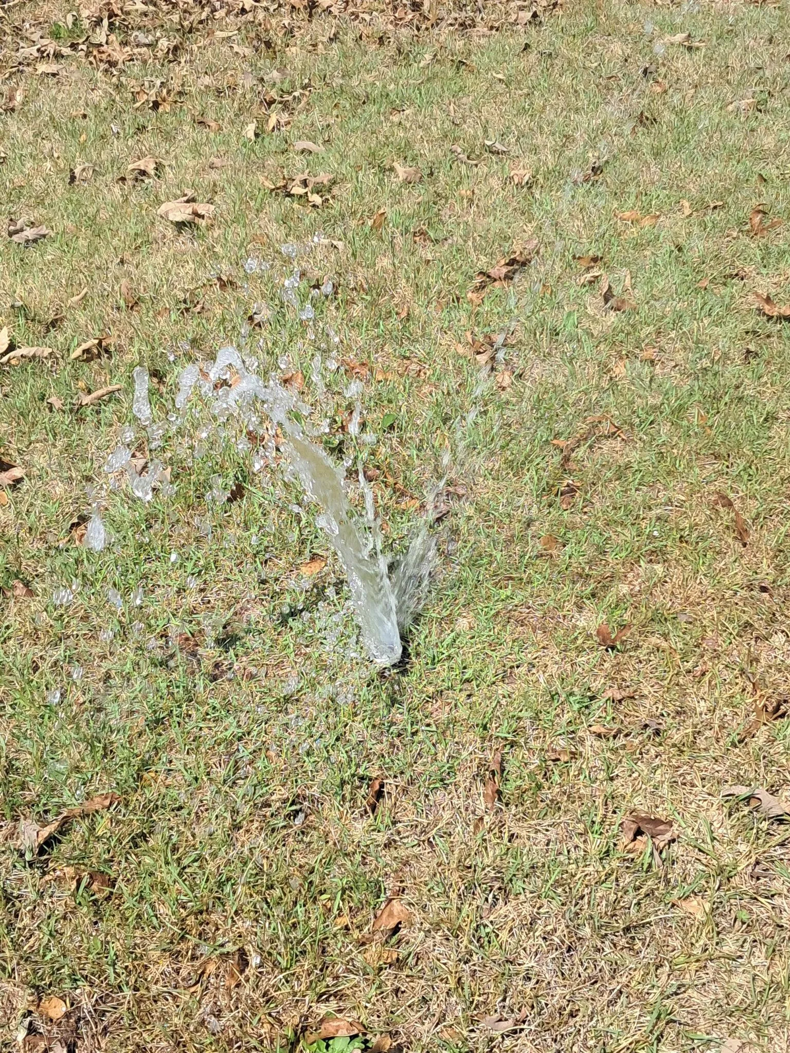 Repaired sprinkler head running across a lawn