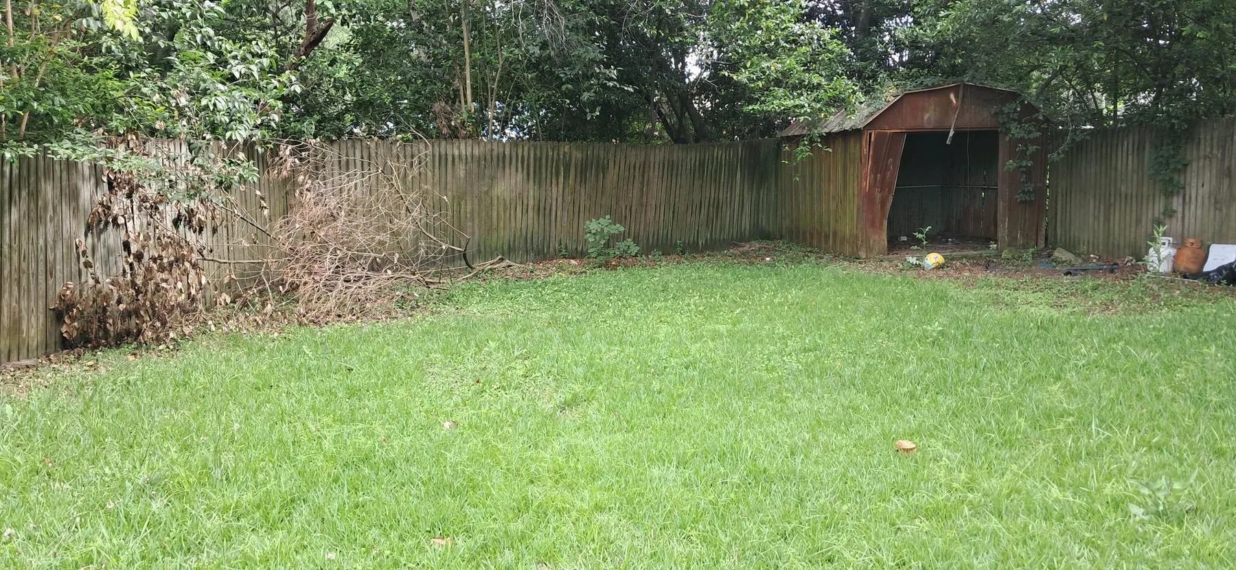 Backyard cut clean to the tree line