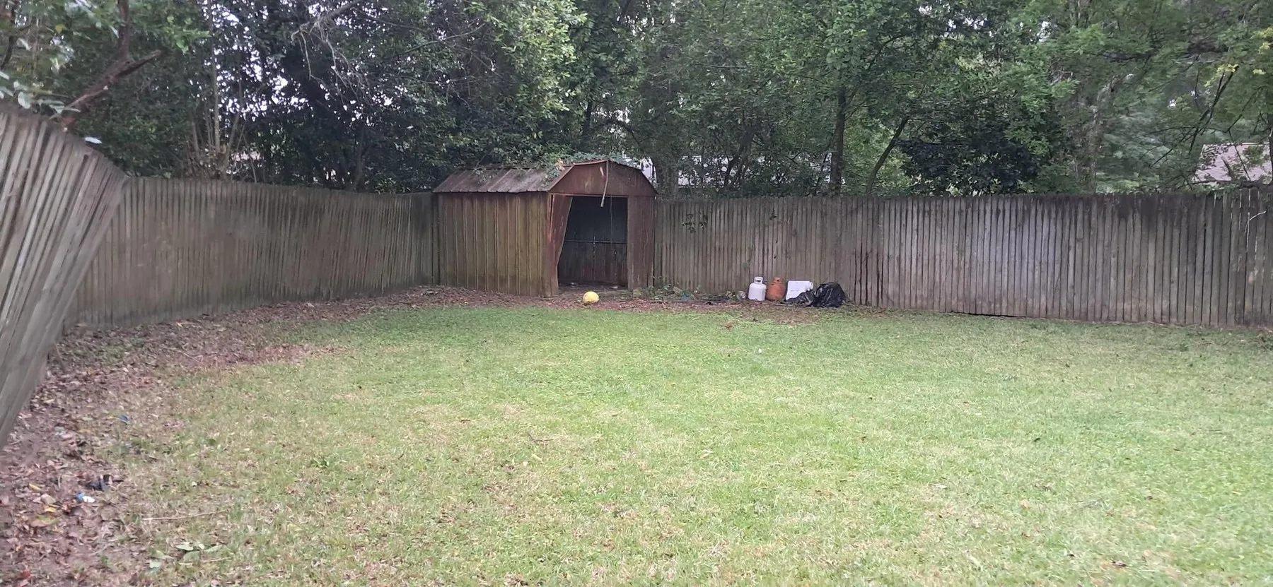 Fenced back lawn cut and cleared of debris