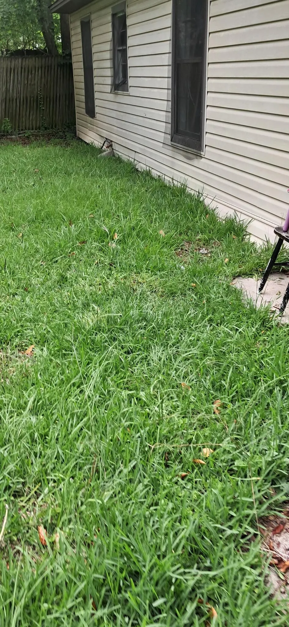 Side yard mowed and trimmed against the siding