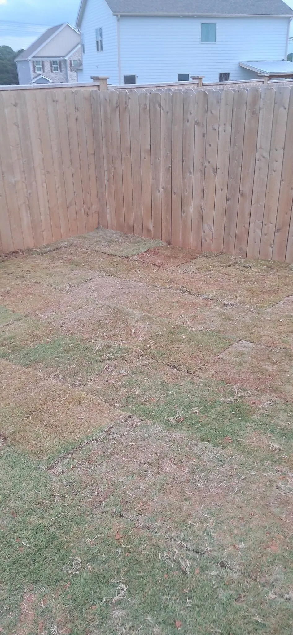 Corner of a yard sodded up to the fence
