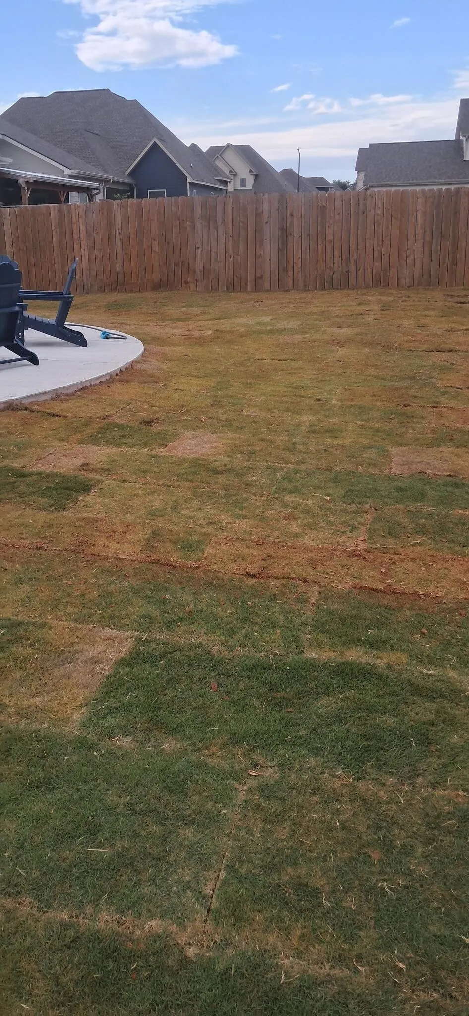 Backyard of fresh sod around a poured concrete patio