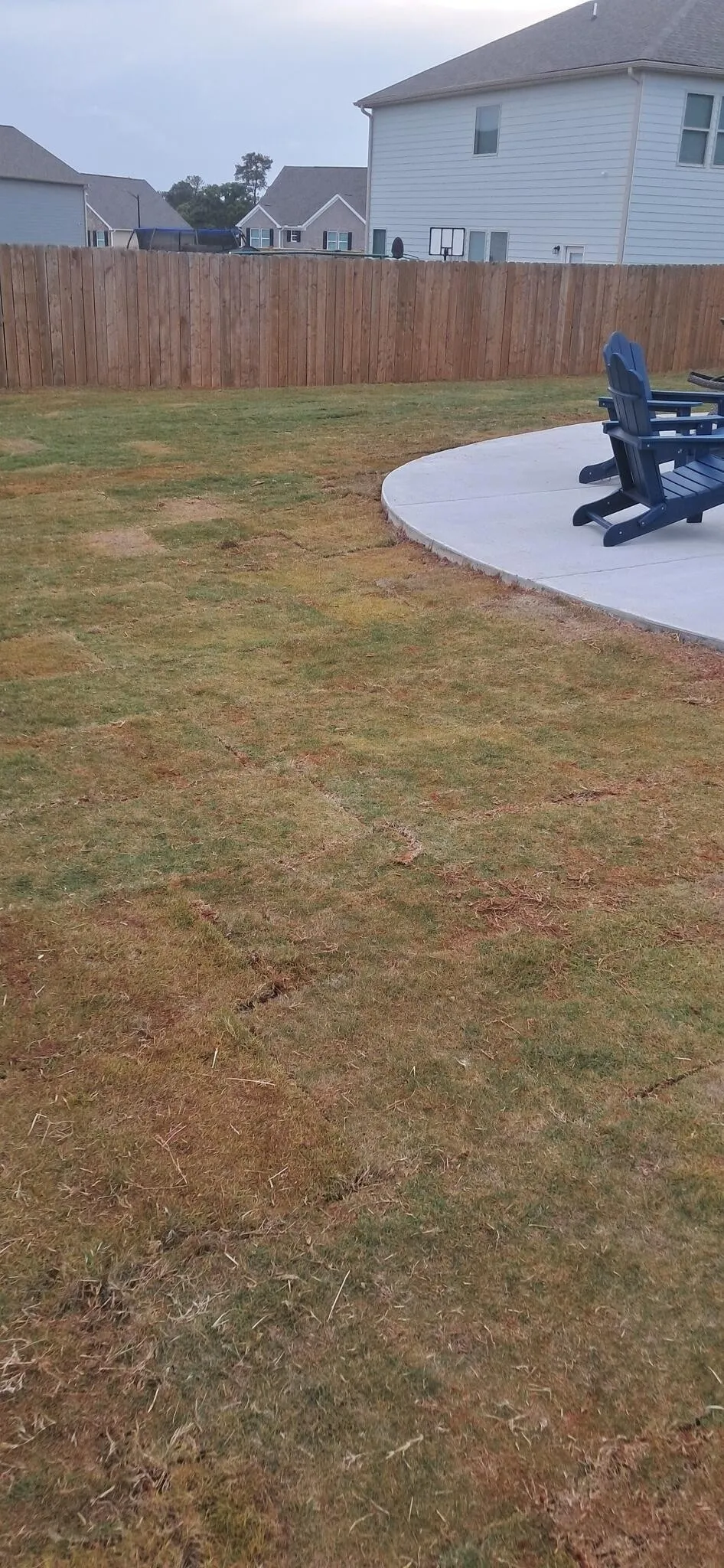 Concrete patio poured into a newly sodded backyard
